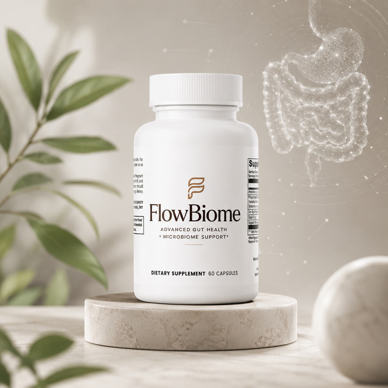 FlowBiome Heavy Meal Support